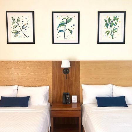Río Verde Hotel Plaza Rioverde מראה חיצוני תמונה